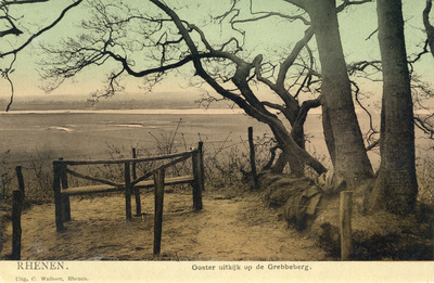 13329 Gezicht over de uiterwaarden te Grebbe (gemeente Rhenen) vanaf de Grebbeberg.